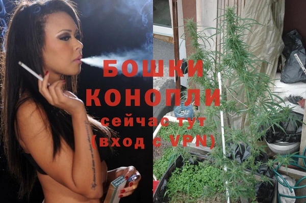 дурь Арсеньев