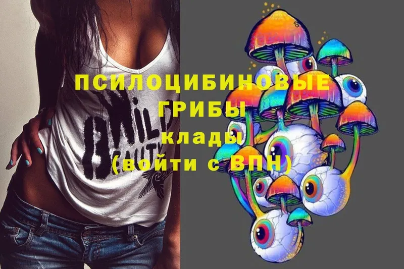 где найти   Артёмовский  Псилоцибиновые грибы Psilocybine cubensis 