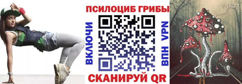 Псилоцибиновые грибы Psilocybine cubensis блэк спрут ССЫЛКА Артёмовский